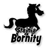 Stajnia Bornity, godziny otwarcia