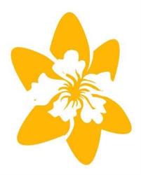 Szkoła językowa i biuro tłumaczeń Daffodil, Poznań godziny otwarcia