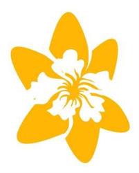 Szkoła językowa i biuro tłumaczeń Daffodil, Poznań godziny otwarcia