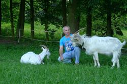 Kozie Sery, Ostrów godziny otwarcia