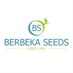 Berbeka Seeds, Rybnica godziny otwarcia