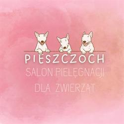 Pieszczoch, Michałów godziny otwarcia
