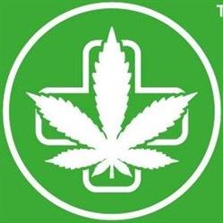 Sensi Hemp Kraków - Cannabis Shop - CBD Cracow, godziny otwarcia
