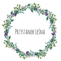Przystanek Leśna, Targanice godziny otwarcia