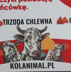 Kolanimal.pl, Biłgoraj godziny otwarcia