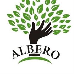 Biuro usług księgowych - Albero, Gdynia godziny otwarcia