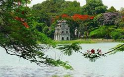 BAR HANOI, Chojnice godziny otwarcia
