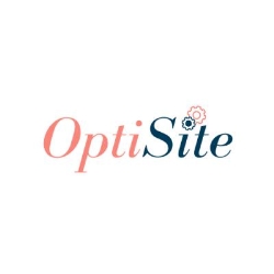 Optisite strony internetowe, prowadzenie stron internetowych, Rokietnica godziny otwarcia