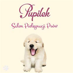 Psi Fryzjer Pupilek Salon Pielęgnacji Psów, Dąbrowa Górnicza godziny otwarcia