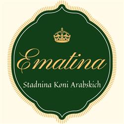 Stadnina Koni Arabskich Ematina, Kębliny godziny otwarcia