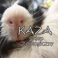KAZA Sklep Zoologiczny, Gliwice godziny otwarcia