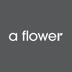 a flower Hurt Kwiatów i Artykułów Dekoracyjnych, Toruń godziny otwarcia