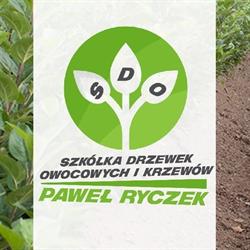 Drzewka owocowe w Zasowie - Paweł Ryczek, Zasów godziny otwarcia