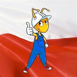 Termex, Kołobrzeg godziny otwarcia