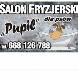 PUPIL - Salon fryzjerski dla psów Szczecin Psi Fryzjer, godziny otwarcia