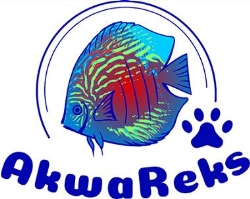 Sklep akwarystyczno-zoologiczny Akwareks, Kraków - godziny otwarcia