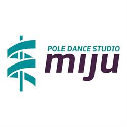Miju Pole Dance Studio, Zabrze godziny otwarcia