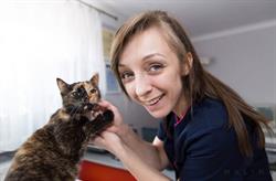 PODAJ ŁAPĘ Gabinet Weterynaryjny Joanna Sitkiewicz, Gidle godziny otwarcia