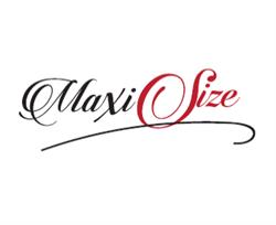 Maxi-Size Centrum Franowo, Poznań godziny otwarcia