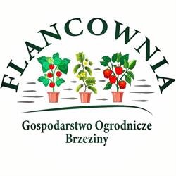 Gospodarstwo Ogrodnicze FLANCOWNIA, Brzeziny godziny otwarcia