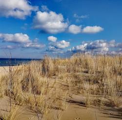 ISLAND4U, Gdańsk godziny otwarcia