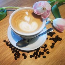 ScenaCafe Fryderyk, Warszawa godziny otwarcia