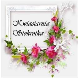 Kwiaciarnia Stokrotka, Łapy godziny otwarcia