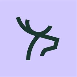 Purple Deer Studio, Gliwice godziny otwarcia