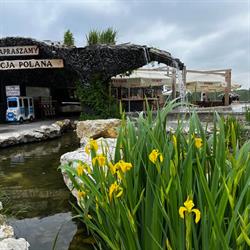Restauracja Stacja Polana - najlepsze ryby, Sulejów godziny otwarcia