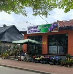 Centrum Ogrodnicze Krokus, Jędrzejów godziny otwarcia