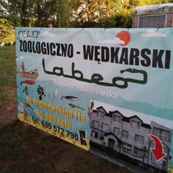 Sklep zoologiczno-wędkarski Labeo, Koło godziny otwarcia