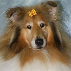 Super Groom - Moja Pasja, Rzeszów godziny otwarcia