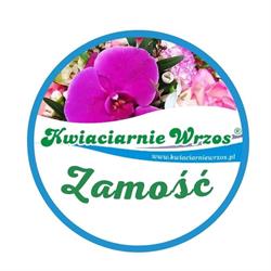 Kwiaciarnie Wrzos PPHU Pęcherzewski, Zamość godziny otwarcia