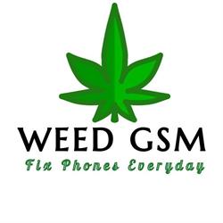 Weed GSM, Warszawa godziny otwarcia