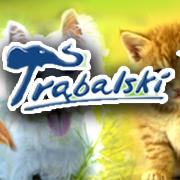 Trąbalski - sklep zoologiczny, Gniezno godziny otwarcia