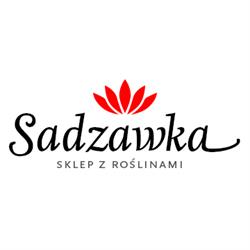 Sadzawka, Międzychód godziny otwarcia