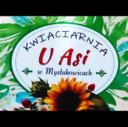 Kwiaciarnia "u Asi" Kwiaciarnia i Kwiatomat, Mysłakowice godziny otwarcia