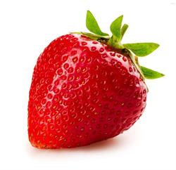 Lodziarnia Fragola Rzeszów, godziny otwarcia