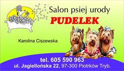 Salon Psiej Urody Pudelek, Piotrków Trybunalski godziny otwarcia