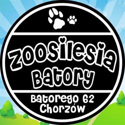 Zoosilesia Batory, Chorzów godziny otwarcia