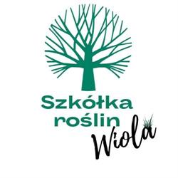Szkółka Roślin Ozdobnych WIOLA, Szamotuły godziny otwarcia