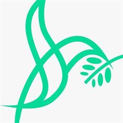 Fundacja Volto Amore, Katowice godziny otwarcia