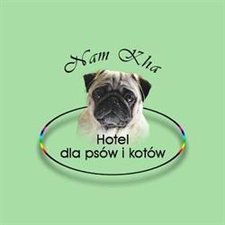 Hotel dla psów i kotów, Giżycko godziny otwarcia