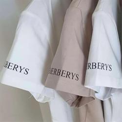 BERBERYS, Grodzisk Wielkopolski godziny otwarcia