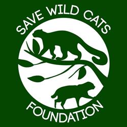 Fundacja Save Wild Cats Foundation, Toruń godziny otwarcia
