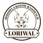 Loriwal Hodowla Kotów Bengalskich, Rokietnica godziny otwarcia