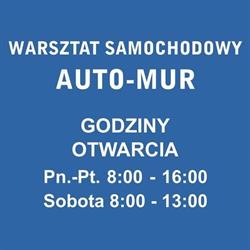 AUTO-MUR warsztat samochodowy, Tychy godziny otwarcia