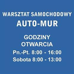 AUTO-MUR warsztat samochodowy, Tychy godziny otwarcia