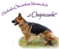 Hodowla "Z Chojniczanki FCI", Chojnice godziny otwarcia