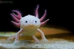 Zoo-Vet Sklep Zoologiczny, Jarocin godziny otwarcia